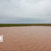 سیل در برزک کاشان خسارتی نداشت