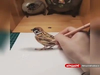 نقاشی هایی که شما رو شگفت زده می کنن!