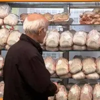 افزایش قیمت مرغ در کهگیلویه و بویراحمد