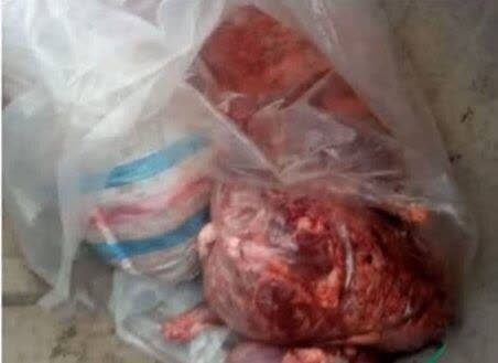 کشف‌وضبط لاشه ۹ رأس خوک وحشی در آمل