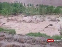 تاخت‌تاز سیل در استان سمنان