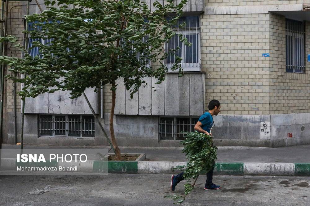 خسارت طوفان شدید در تهران
