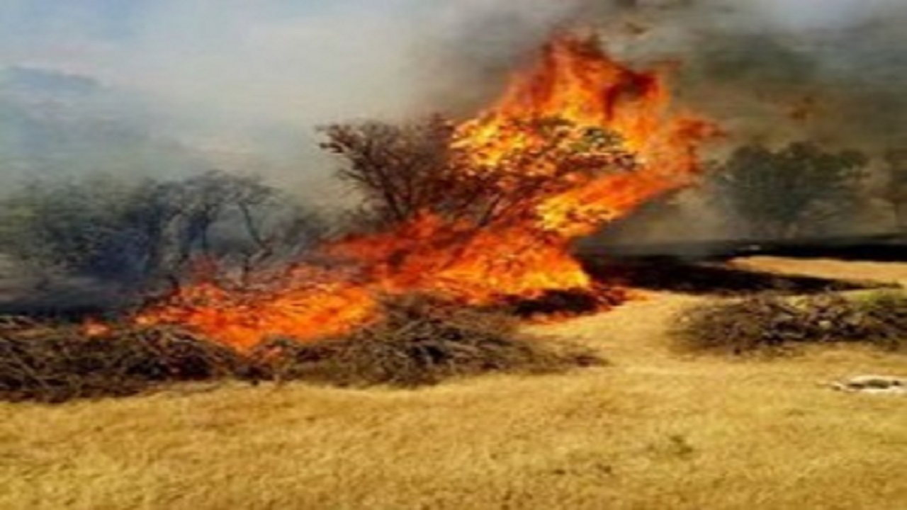 آتش‌سوزی به ۳۰ هکتار از مزارع خرم‌آباد خسارت زد