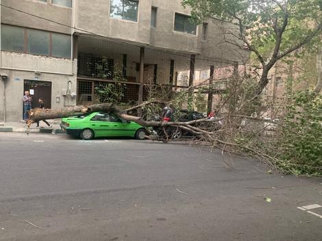 آسیب جدی طوفان به حدود ۵۰۰ خودرو در پایتخت