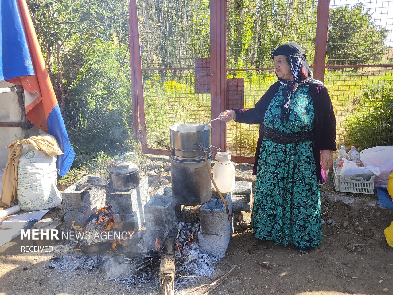 جشنواره گلاب‌گیری در کردستان
