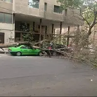 آسیب جدی طوفان به حدود ۵۰۰ خودرو در پایتخت