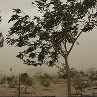 پیش‌بینی وزش باد شدید و وقوع غبار محلی در خوزستان