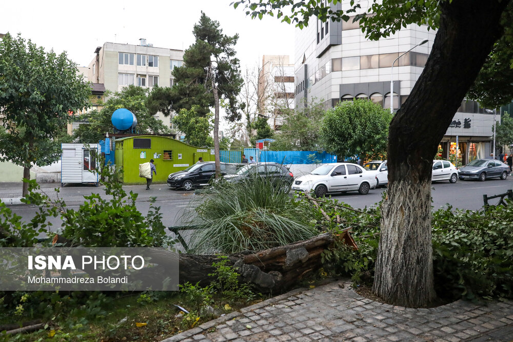 خسارت طوفان شدید در تهران