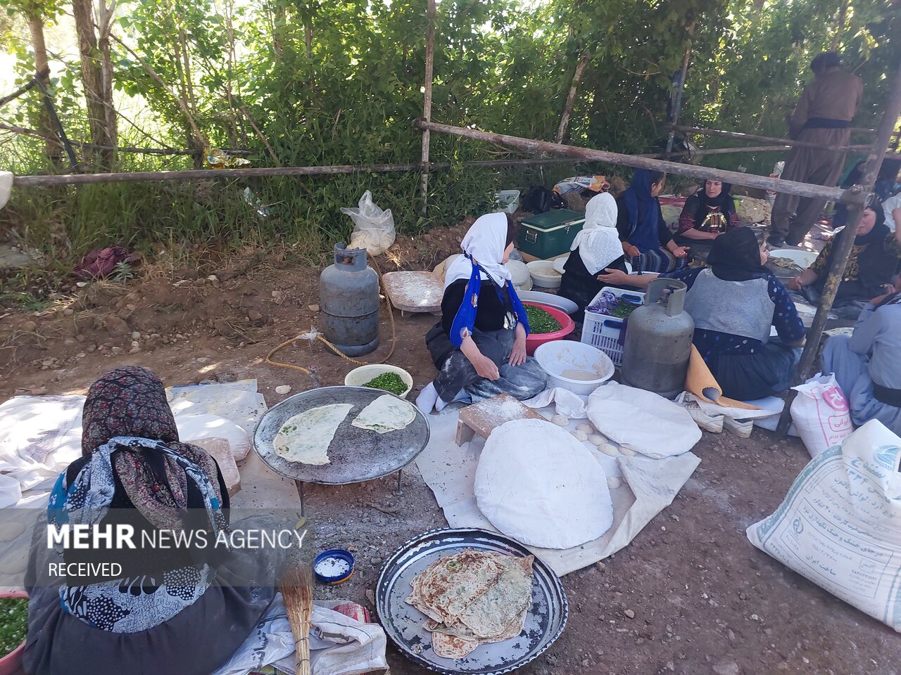 جشنواره گلاب‌گیری در کردستان