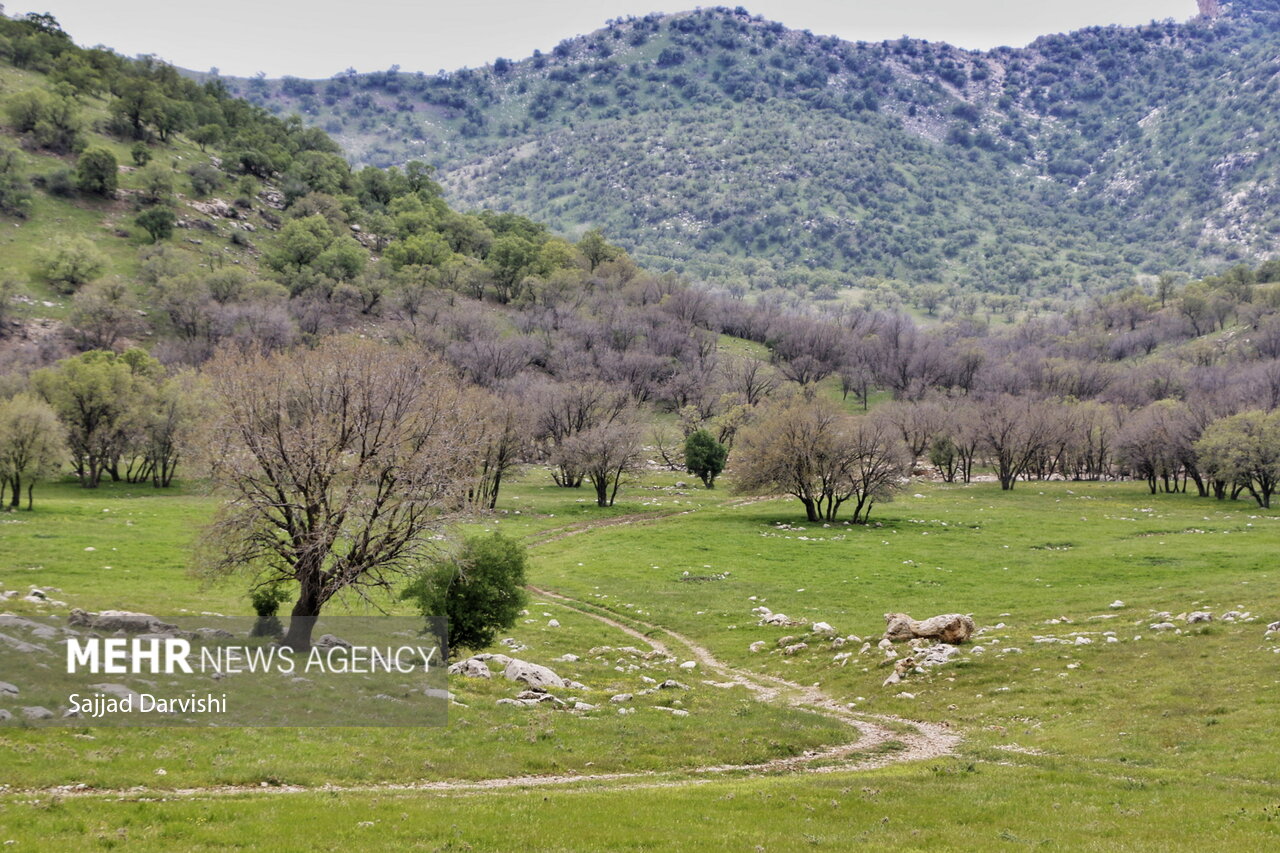 طبیعت بهاری لرستان