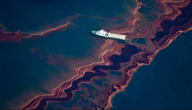از نفت تا میکروپلاستیک‌ها؛ تهدیدات زیستی برای خلیج فارس