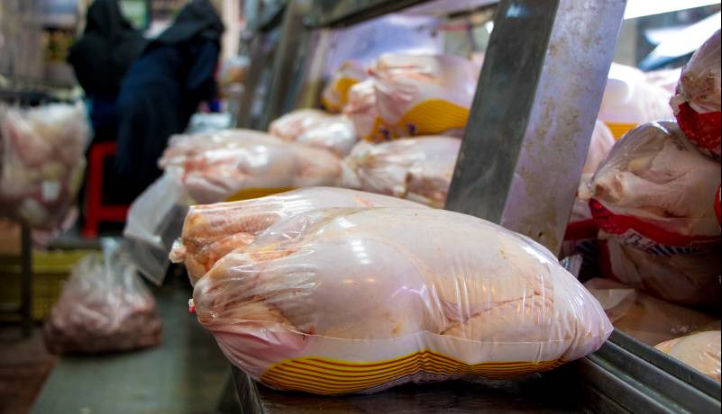 تشکیل ۱۱۹ پرونده تخلف عرضه مرغ در شیراز