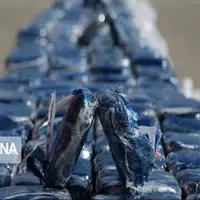 کشف ۶۱۷ کیلوگرم مواد مخدر در مهریز یزد 