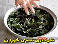 ترفند نگهداری سبزی خوردن