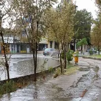 ویدئو/ بارش شدید باران در زرند کرمان 