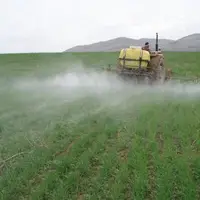 اجرای کشت قراردادی در ۱۳۰ هزار هکتار از زمین‌های کشاورزی استان مرکزی