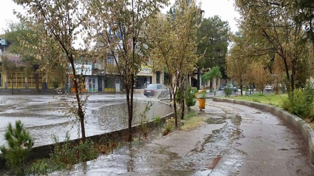 ویدئو/ بارش شدید باران در زرند کرمان