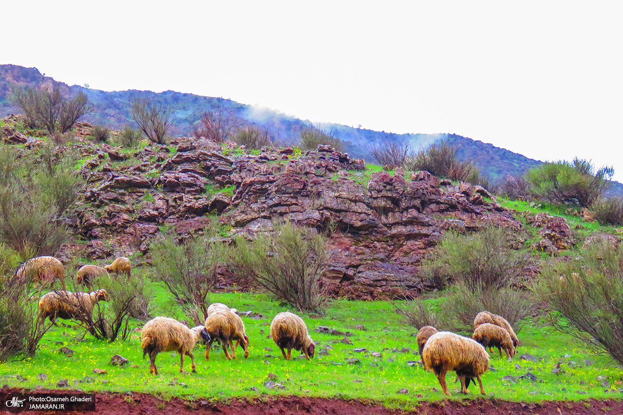 طبیعت زیبای نوسود کرمانشاه