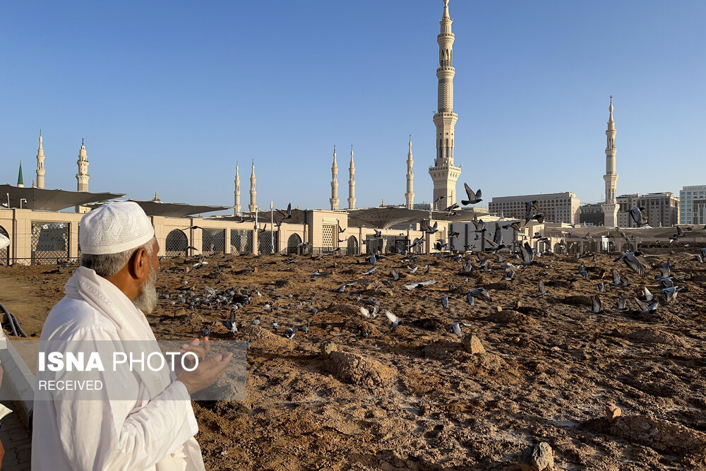 عکس/ «بقیع» بزرگترین قبرستان مدینه