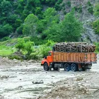 کشف ۱۰ تن چوب جنگلی قاچاق از یک کامیون در شفت