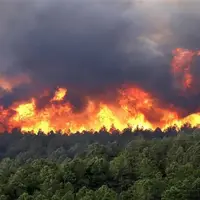 آتش‌سوزی در جنگل‌های کانی قوله‌جان در پی مانور ارتش