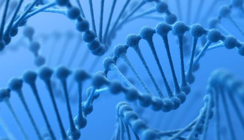حرکات DNA چگونه بر فعالیت یک ژن تاثیر می گذارد؟