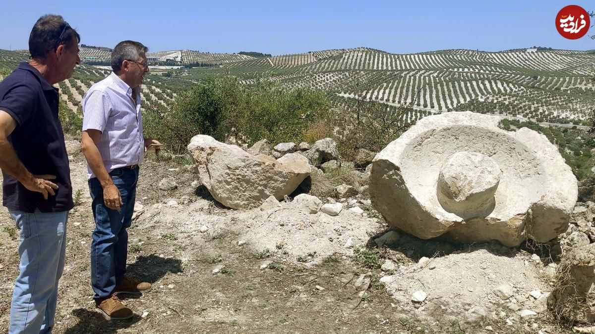 گوناگون/ کشف کشاورز اسپانیایی از زیر ریشه‌های درخت