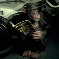ویدئوی باورنکردنی از قدرت یاد‌گیری شامپانزه