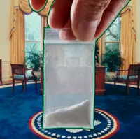 ادامه جنجال بر سر یافتن «کوکائین» در کاخ سفید