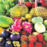 تولید میوه‌های گرمسیری جدید در کبودراهنگ