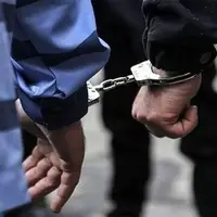 جزئیات بازداشت 3 عنصر ضدامنیتی در استان کرمان