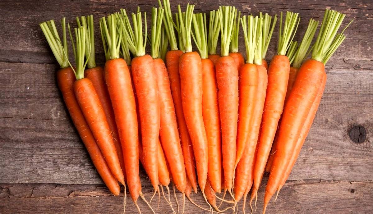 فواید هویج برای جلوگیری از بیماری‌های قلبی و تقویت سلامت کبد