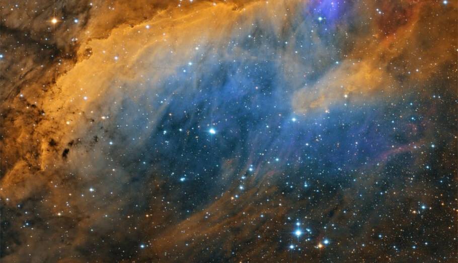 تصویر روز ناسا؛ IC 4628 و یا سحابی میگو