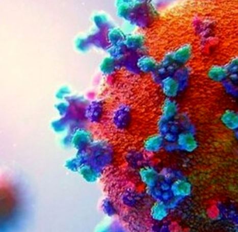 شناسایی۲۳ بیمار جدید کووید ۱۹ در کشور