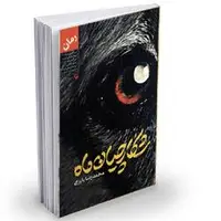 «شکارچیان ماه» نوشته محمدرضا بایرامی را بخوانیم یا نه؟