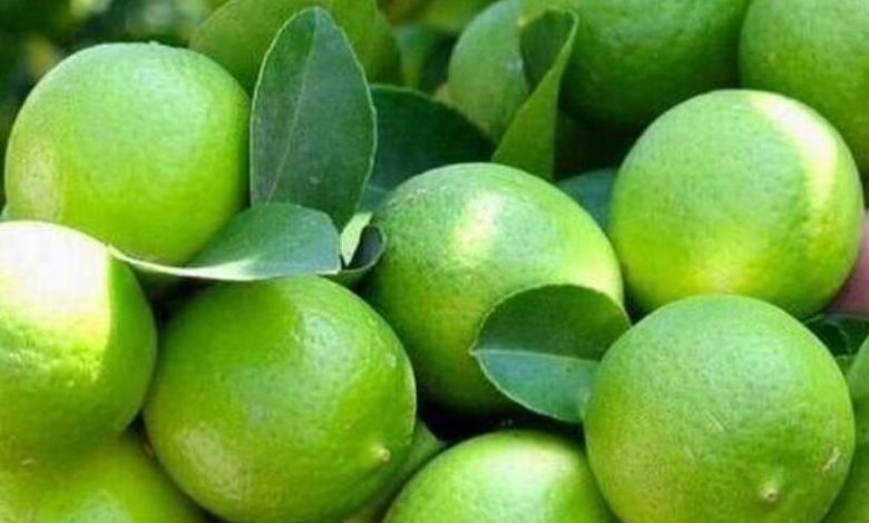 نرخ خرید توافقی لیموترش در رودان اعلام شد