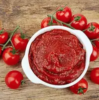 روش نگهداری رب گوجه فرنگی در فریزر