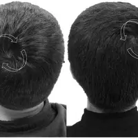 جهت پیچش مو ژنتیکی است