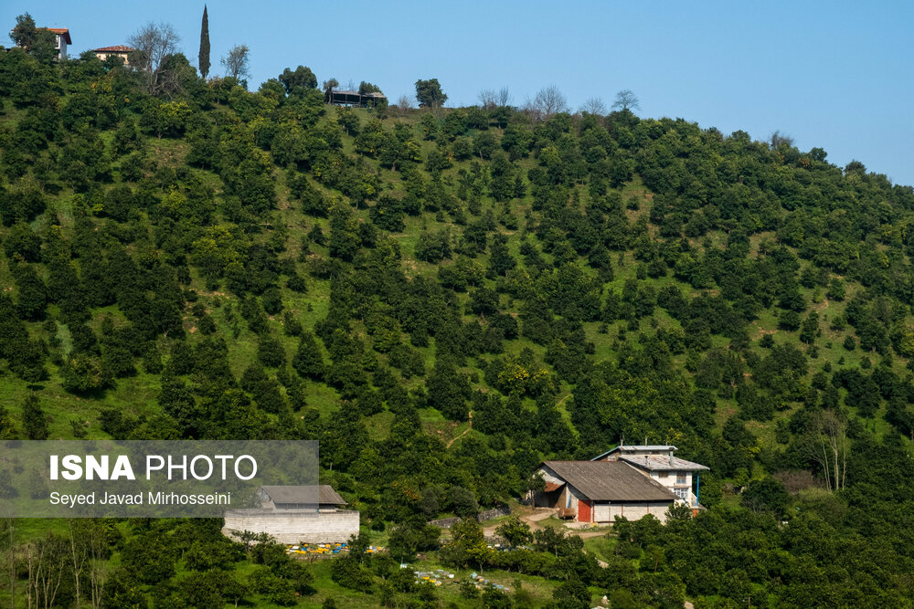 گوشه به گوشه ایران؛ رودسر