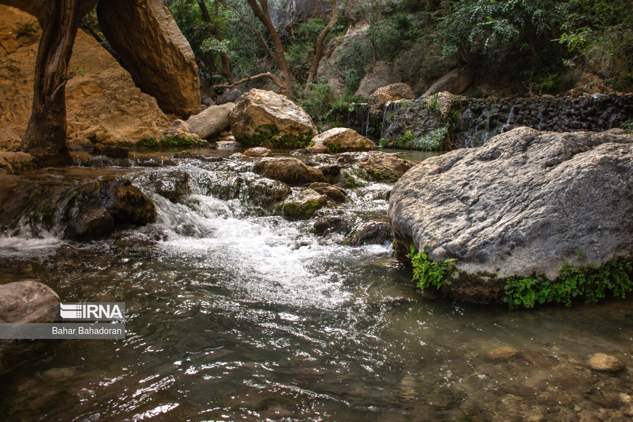 تنگ تامرادی در یاسوج