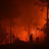 ۳۸۸ نفر در آتش سوزی هاوایی آمریکا کشته یا مفقود شدند