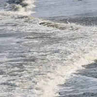 زوج ساوه‌ای در ساحل رودسر غرق شدند