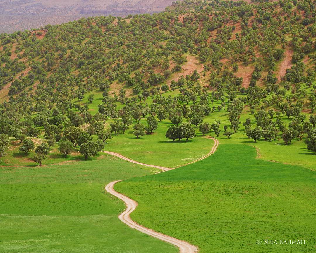 طبیعت بکر ایلام