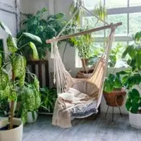 ادویه مفید برای گیاهان آپارتمانی
