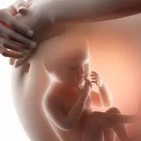 ویدیویی جالب از سکسکه یک نوزاد داخل رحم مادر