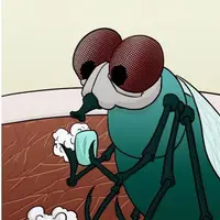 گوناگون/ دانستنی های شگفت انگیز راجع به مگس ها