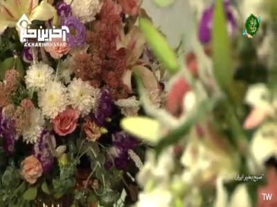 اجرای ترانه «دل بی‌ قرار» با صدای حامد سلیمی