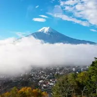 نماهنگ بی کلام 