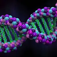 نقش جدید و منحصر به فرد DNA چیست؟