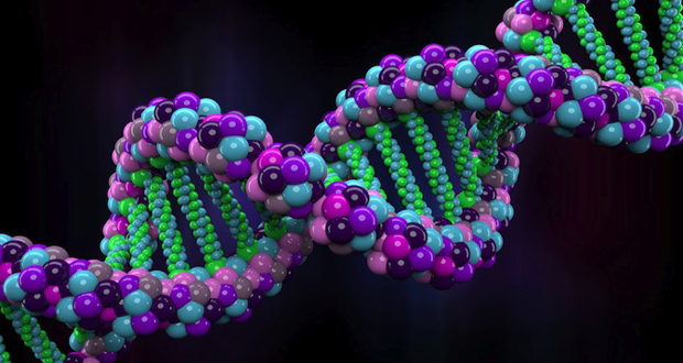 نقش جدید و منحصر به فرد DNA چیست؟